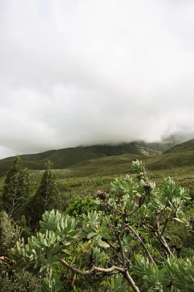 Hiking Cape Town in different seasons — winter in Jonkershoek