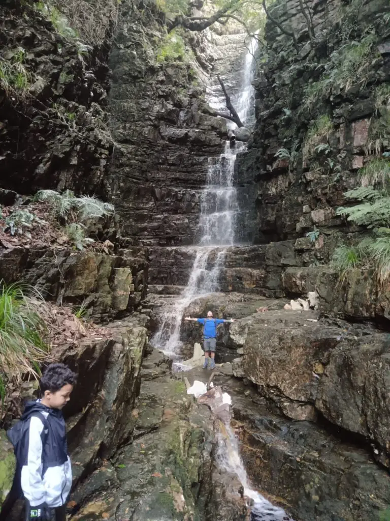 A photo of the indigenous forest, the gorge, or the waterfall and rock pools. The forest light and dramatic rock formations make for striking images